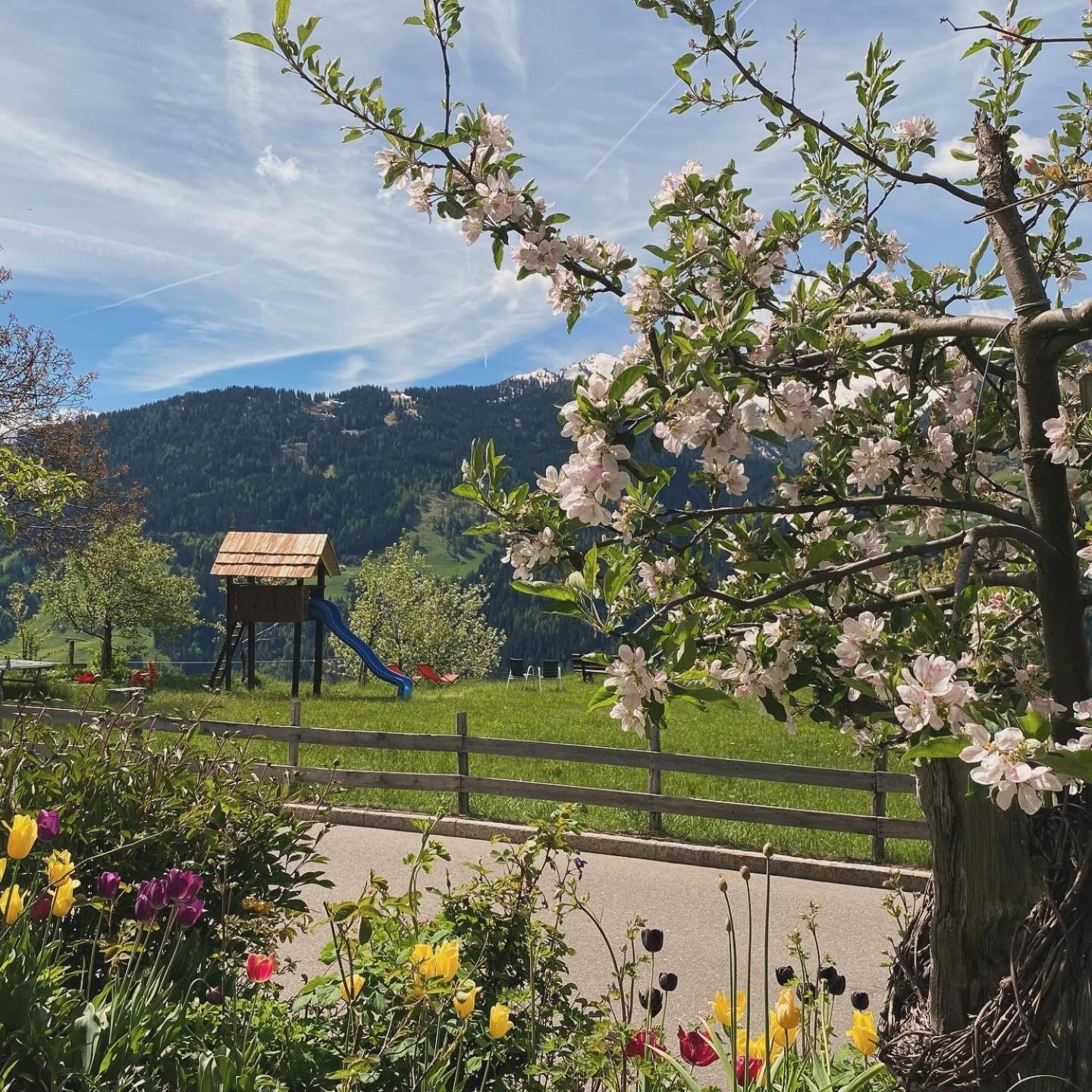 Hotel Alpenland Moso Exterior foto
